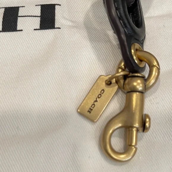 Coach Multicolor Rainbow Leather Link Strap with Gold Hardware - Picture 2 of 3